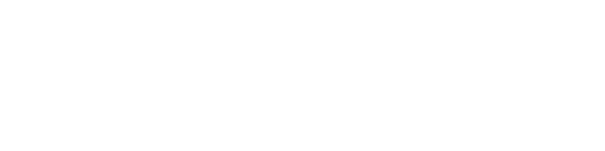 VirtuFit